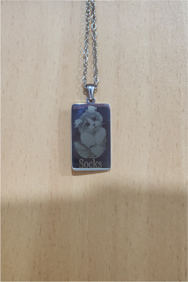 Personalised Engraved Pet Photo Stainless Steel Pendant with Chain